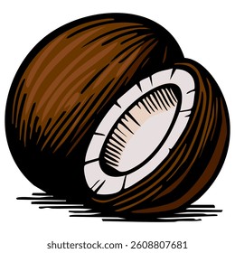 An vector illustration of two brown coconuts, one slightly behind the other, showcasing their textured shells and white inner flesh.