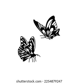 vector illustration of two butterflies