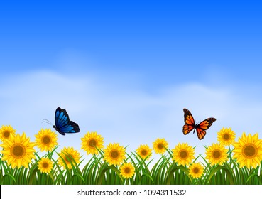 vector illustration of Two butterfly flying in sunflower garden