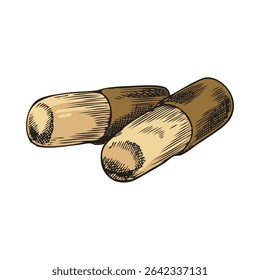 Ilustración vectorial de dos cápsulas con medicina, boceto de mano de acuarela. Pastillas. Salud, tratamiento. Antiguas estilo grabado. Farmacéutica, medicina. Fondo aislado.
