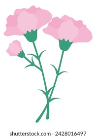 Vector illustration of two carnation flowers for mothers day