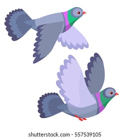 Vector illustration of two cartoon pigeons flying isolated on white background