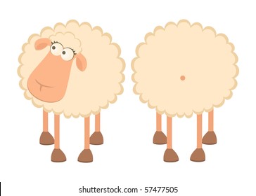 Vector illustration of two cartoon sheep