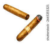 Vector illustration of two cigars in watercolor style, one lit with smoke and ash, and one unlit, isolated on white background.