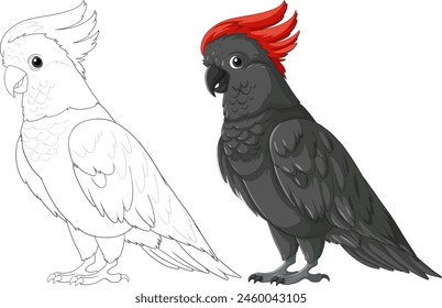 Vector illustration of two cockatoos, one colorful