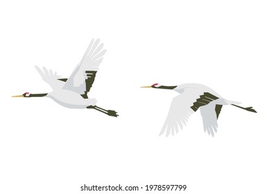 Vector illustration of two cranes in flight