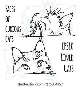 Vector illustration two curious cat muzzles