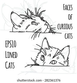 Vector illustration of two curious cat muzzles