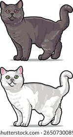 Vector illustration of two cute British Shorthair cats, one grey and one white, standing and smiling happily. Perfect for pet designs, cartoon projects, and animal-themed decorations.