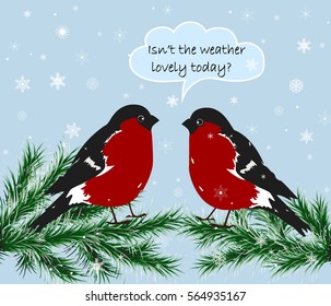 Vector illustration of two cute bullfinch sitting on pine tree and talking about the weather.