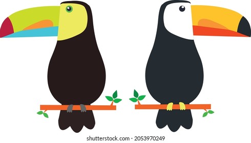 Vector Illustration of a two cute colorful toucan sitting on a tree branch Two Colorful Watercolor toucan birds sitting on a branch. Keel-billed toucan vector illustration

