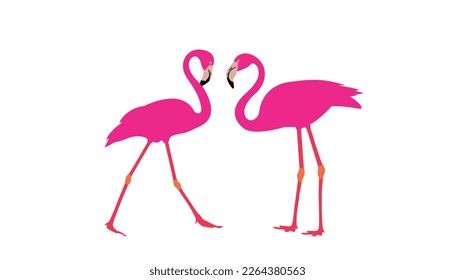 Vector illustration of two cute flamingos on white background. It an be used for sticker, poster, card, bag, t-shirt design, birthday cards and summer.