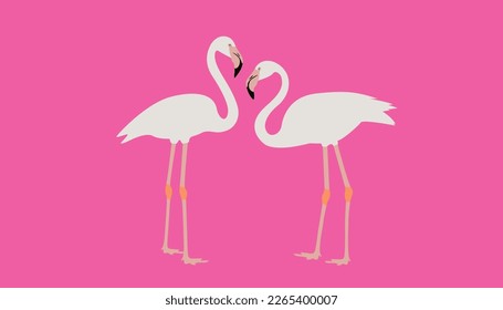 Vector illustration of two cute flamingos on pink background. It an be used for sticker, poster, card, bag, t-shirt design, birthday cards and summer.