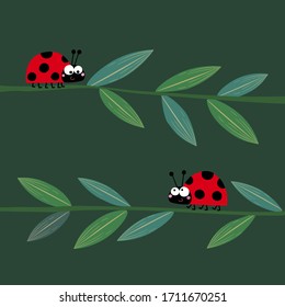 Vector illustration of two cute ladybirds or ladybugs walking on the grass stems.