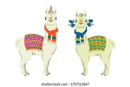 Vector illustration of two cute llamas under rugs and wearing scarves.