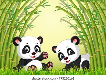 vector illustration of two cute panda in a bamboo forest