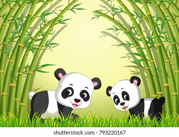 vector illustration of two cute panda in a bamboo forest