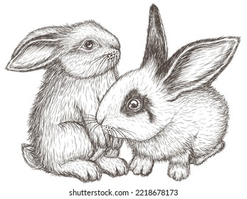 Ilustración vectorial de dos conejos lindos con estilo de grabado