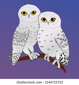 
A vector illustration of two cute snowy owls sitting cozy close together. They are perched on a branch and the background is a purple and blue gradient.
