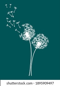 Vector illustration of two dandelions doodles on green background. EPS10 for logos or labels, postcards, stickers, posters etc