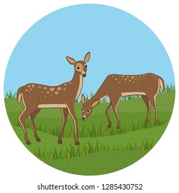 Vector illustration of two deer grazing in the wild.