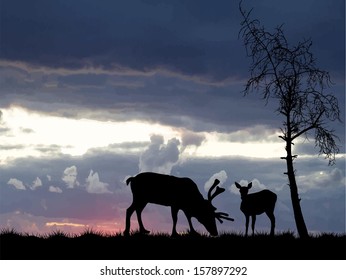 Vector illustration of two deer and tree on background a sunrise