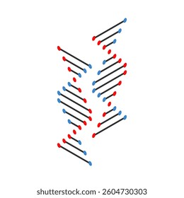 Vector illustration of two DNA strands.