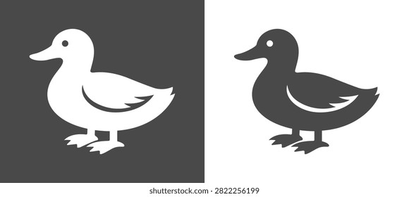 Vector illustration of two ducks, one white and one black, standing next to each other on a flat surface.