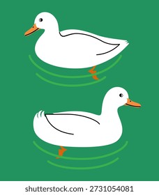 Ilustración vectorial de dos patos nadando en un estanque