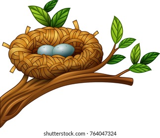 Vector illustration of Two eggs in bird nest