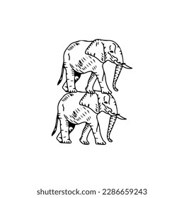  vector illustration of two elephants