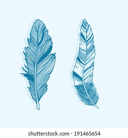 Vector illustration with two feathers