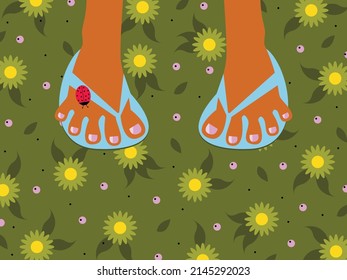 Vector illustration - two feet in blue flip-flops are standing on green grass with bright yellow flowers and a ladybug. Concept - summer rest and relaxation