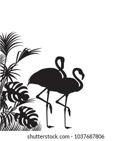 vector illustration of two flamingos, black silhouette of birds and tropical leaves on white background