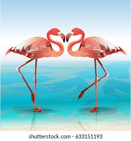 Vector illustration of two flamingos. Exotic bird couple are reflections of each other on sea and sky background.