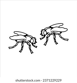 vector illustration of two flies