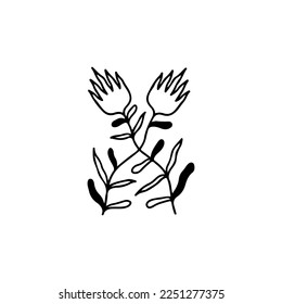 ilustración vectorial de dos flores