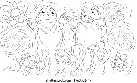 Vector illustration, two friendly otters swim in the pond on their backs among the water lilies, coloring book