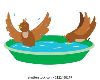 Vector illustration - two funny birds drink water and bathe in a bright garden tub isolated. Concept - taking care of birds