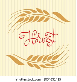 Vector illustration of two gold ripe wheat ears with lettering "Harvest" as frame design element or logo template.
