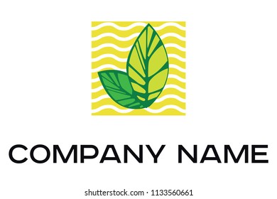 Vector illustration of two green leaves on the yellow wavy background  