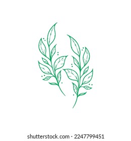 vector illustration of two green leaves