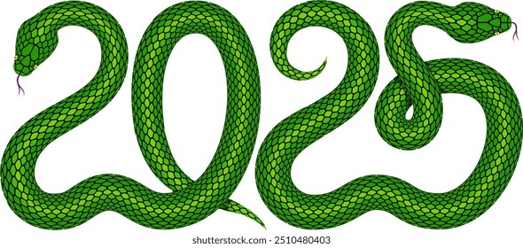 Ilustração vetorial de duas cobras verdes entrelaçadas na forma do número 2025. Design de silhueta de serpente isolada combinado como símbolo numérico para a celebração do Ano Novo Chinês de 2025 com signo zodíaco de cobra.