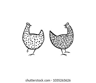 Vector illustration of two hand drawn chickens. Beautiful ink drawing, heavy contour, abstract design elements. Perfect elements for food or farming design.