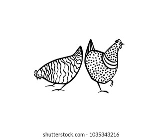 Vector illustration of two hand drawn chickens. Beautiful ink drawing, heavy contour, abstract design elements. Perfect elements for food or farming design.