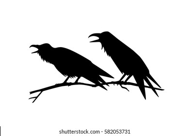 Vector illustration of two hand drawn ravens sitting on the branch.  Silhouette style, beautiful design elements.