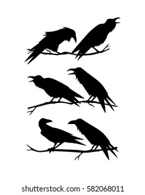 Vector illustration of two hand drawn ravens sitting on the branch.  Silhouette style, beautiful design elements.