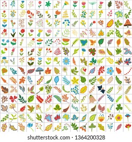 Vector illustration of two hundred and ten elements of plants. Here are the leaves, flowers, herbs. A large set of plants.