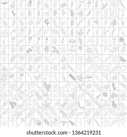 Vector illustration of two hundred and ten elements of plants. Here are the leaves, flowers, herbs. A large set of plants.