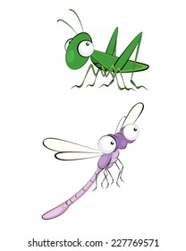 Vector illustration of a two insect - grasshopper and dragonfly